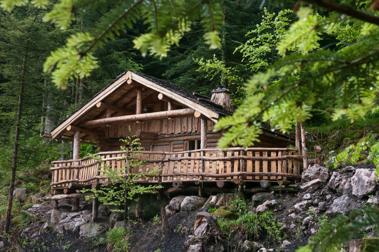 Logeren in een boomhut