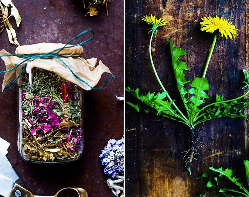 Van de tuin recht naar je bord: maak kennis met The Plant Pharmacy