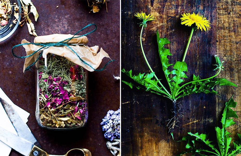 Van de tuin recht naar je bord: maak kennis met The Plant Pharmacy