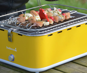 lavendel tweedehands speelgoed Win een Barbecook tafelbarbecue ter waarde van € 135 - Actief Wonen