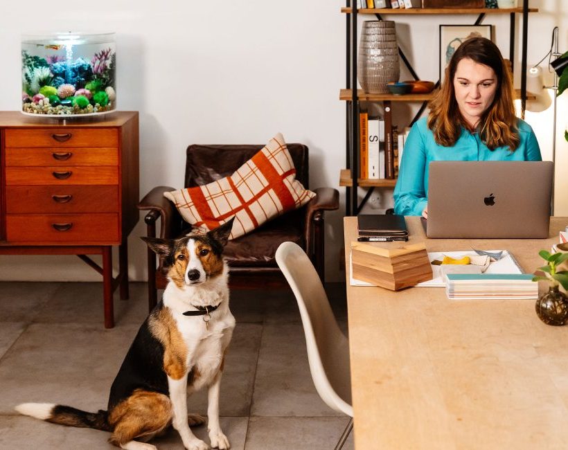 Een biOrb aquarium van Oase: een knap accessoire voor je home office