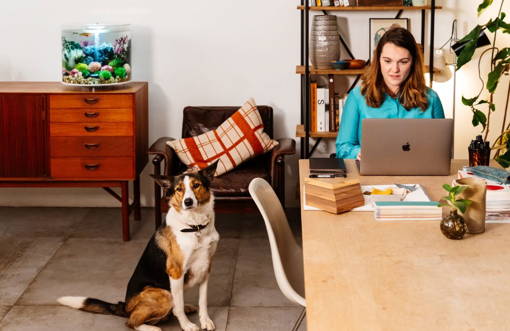 Een biOrb aquarium van Oase: een knap accessoire voor je home office