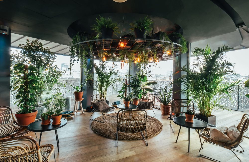 The trend experience: urban jungle hotspots