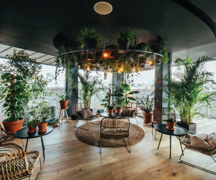 The trend experience: urban jungle hotspots