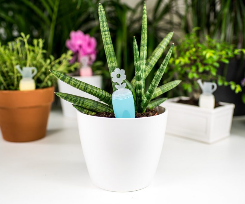Test: slim je planten bewateren