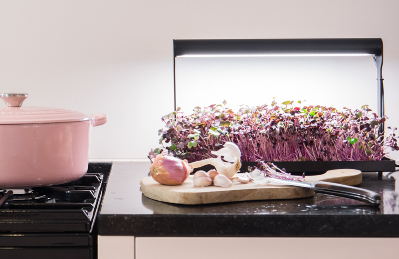 Een moestuin in eigen keuken met MicroFarm