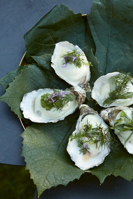 oesters-kookboek-sharing-benoit-dewitte-welkin-meraki