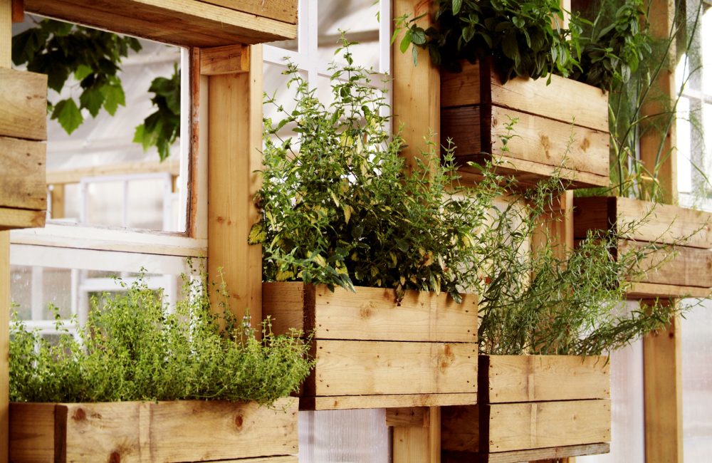 Zo kweek je groenten en kruiden in je stadsmoestuin vanop je eigen balkon