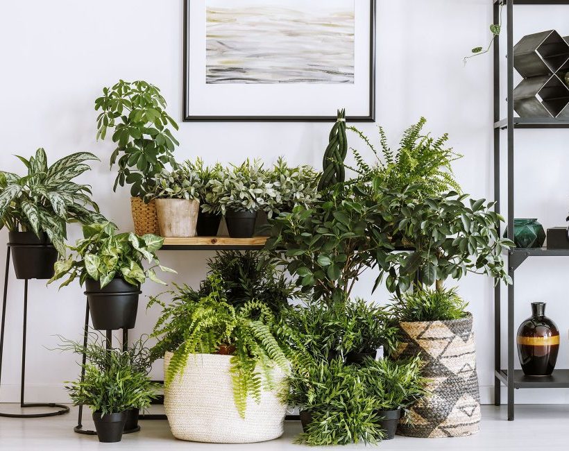 DIY: 5 ideeën om je eigen plantenbak te creëren