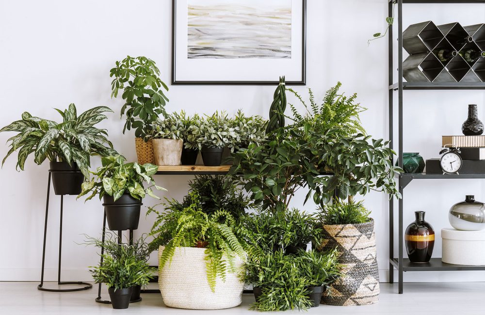 DIY: 5 ideeën om je eigen plantenbak te creëren