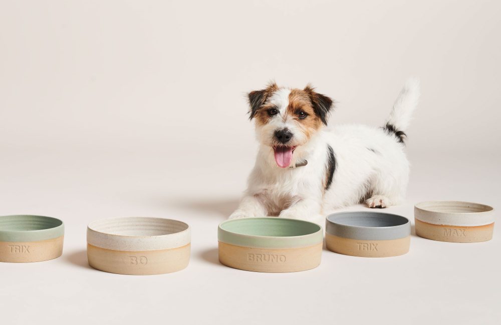 3 x duurzame designlabels voor onze dierbare huisdieren