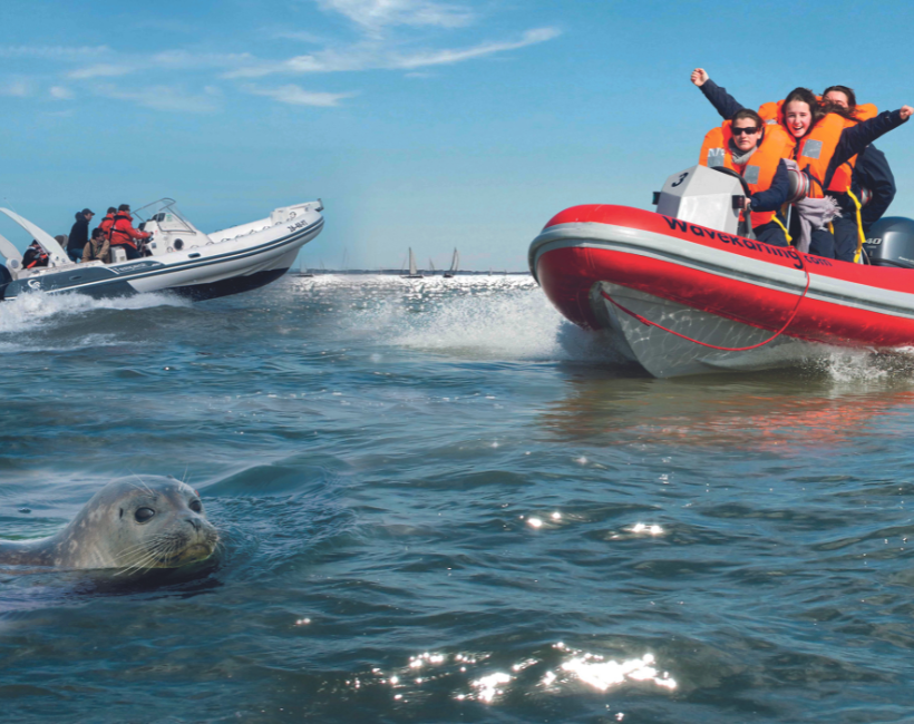 Win 1 van de 10 toegangstickets voor een zeehondensafari met Knokke Boat twv 95 euro