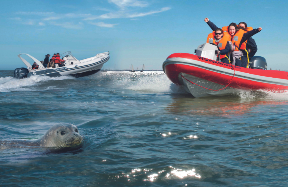 Win 1 van de 10 toegangstickets voor een zeehondensafari met Knokke Boat twv 95 euro