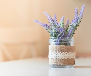 6 ideeën om uw oude potten te hergebruiken in plaats van ze weg te gooien