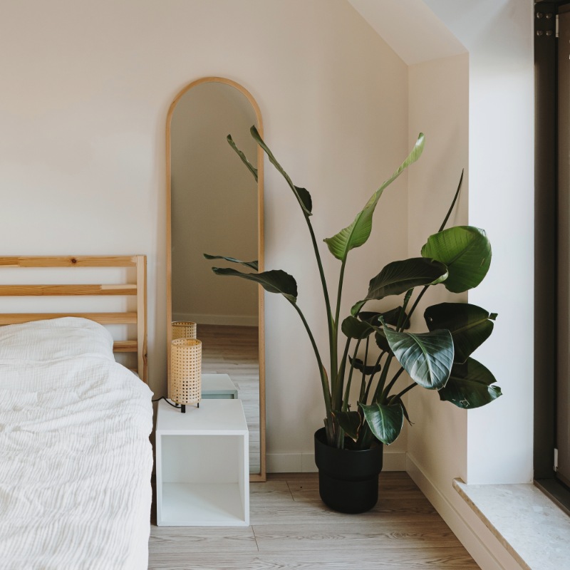 Je interieur verkoelen zonder airco? Deze eenvoudige handelingen verlagen de temperatuur op natuurlijke wijze