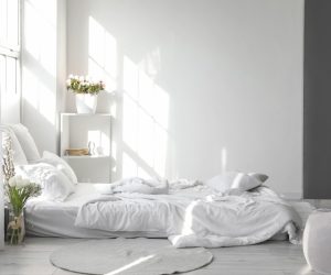 Je interieur verkoelen zonder airco? Deze eenvoudige handelingen verlagen de temperatuur op natuurlijke wijze