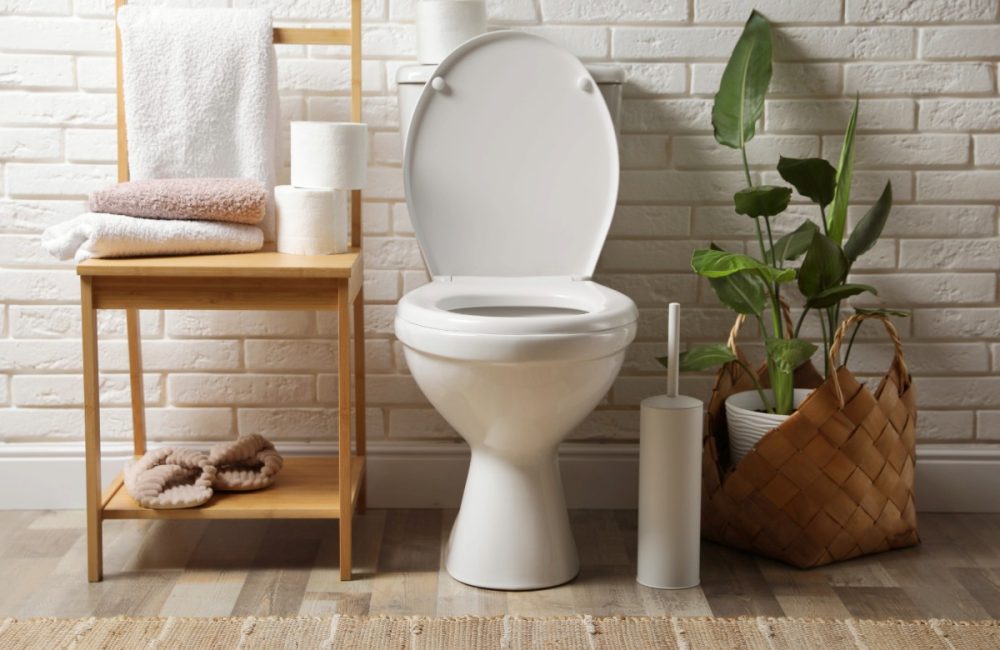Toiletbloemen zijn een hit op internet: hier is waarom iedereen het erover heeft