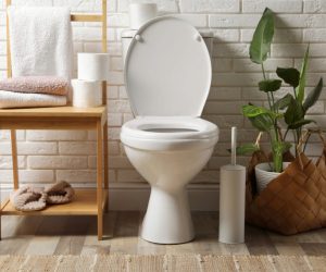 Toiletbloemen zijn een hit op internet: hier is waarom iedereen het erover heeft