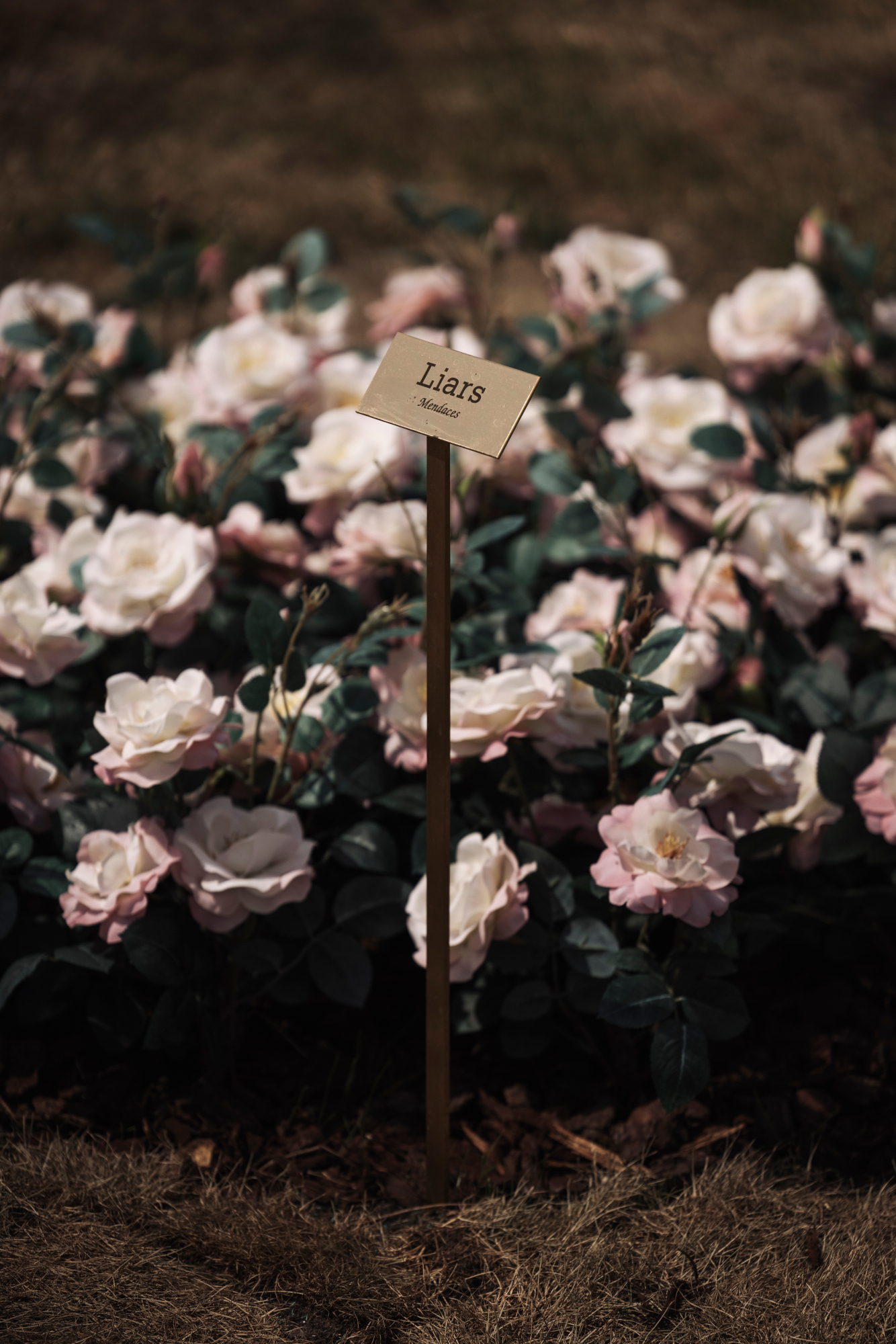 OoidonkARtFestival_2025