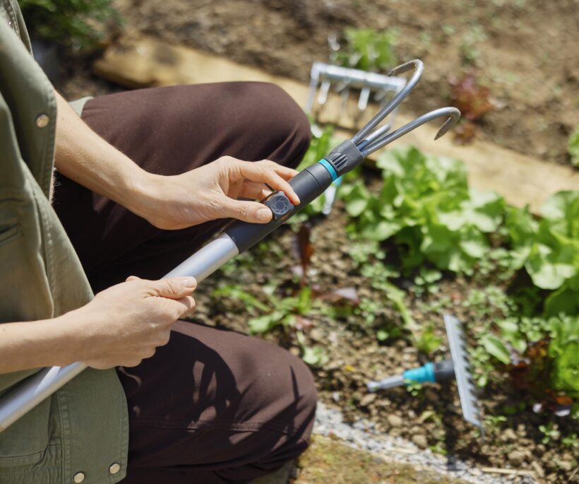 Waarom dit het ideale seizoen is om in de tuin aan de slag te gaan
